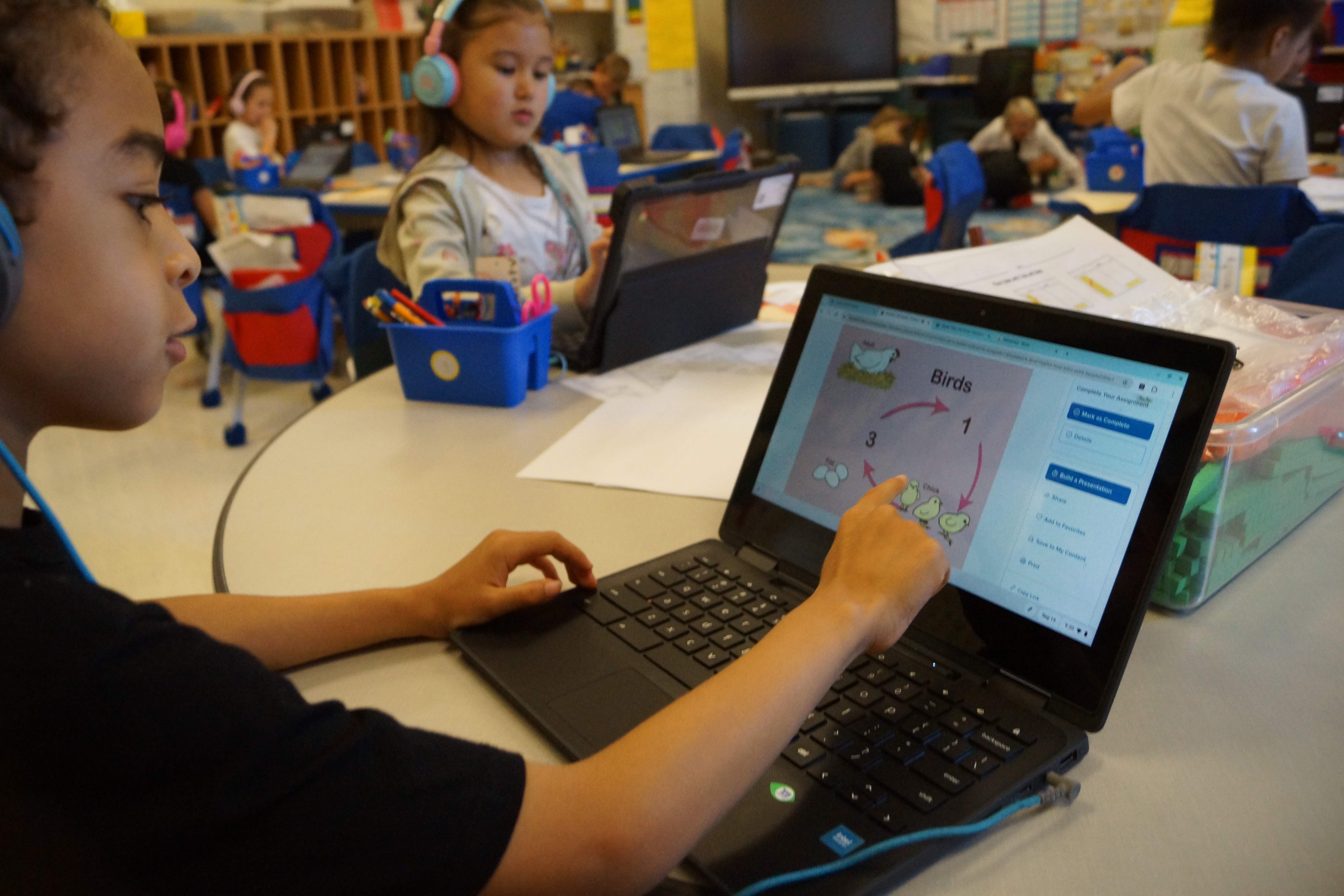 Student creates life cycle of a bird during literacy station.
